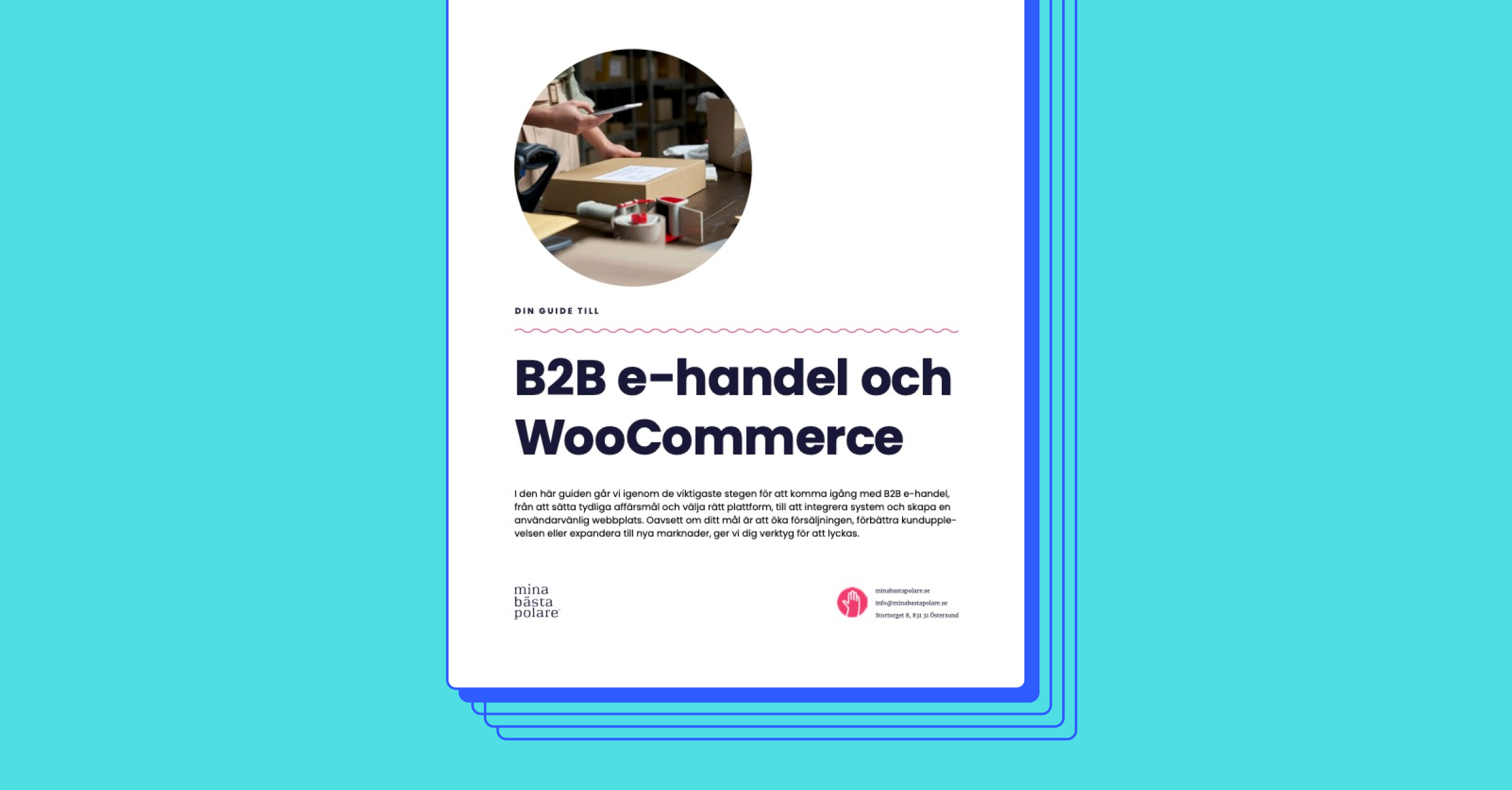 b2b-ehandel-och WooCommerce